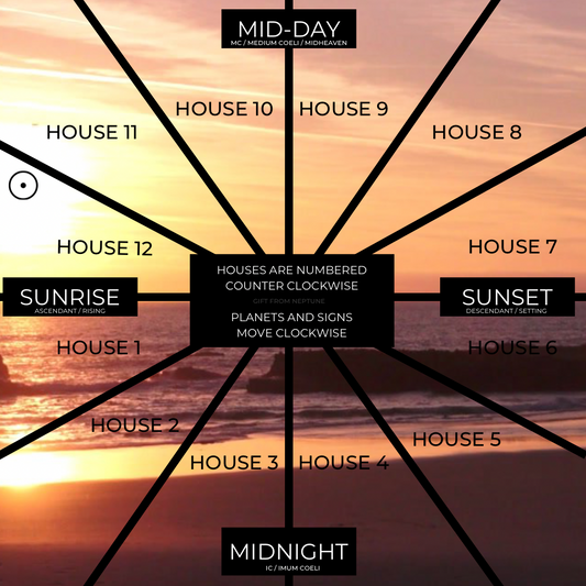 The Houses Part 1: A Visual