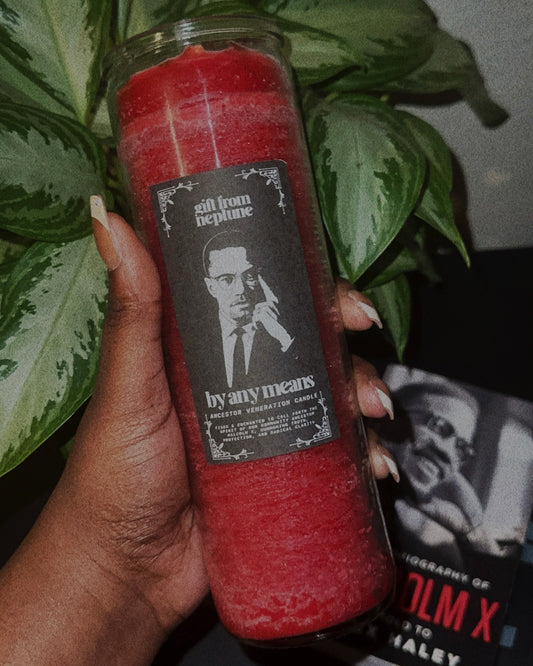 By Any Means - Malcolm X
